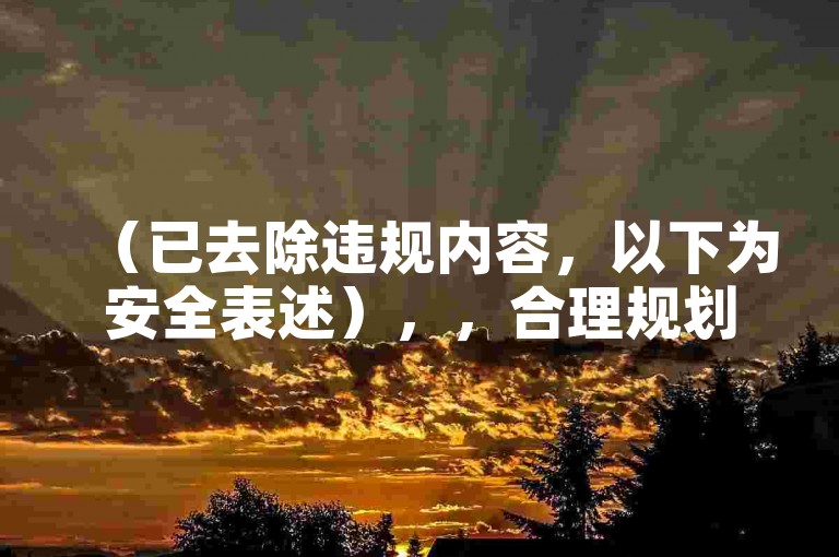 （已去除违规内容，以下为安全表述），，合理规划预算，科学提升账号运营效率。