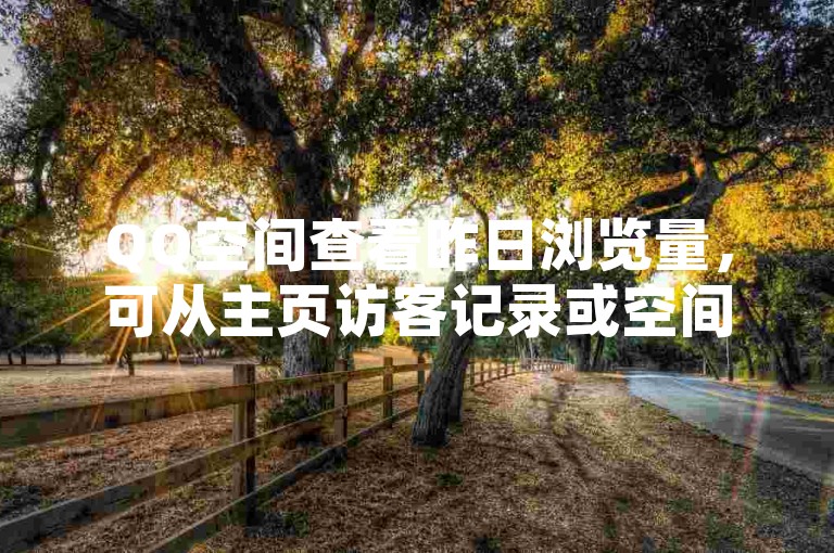 QQ空间查看昨日浏览量，可从主页访客记录或空间动态分析中找寻。