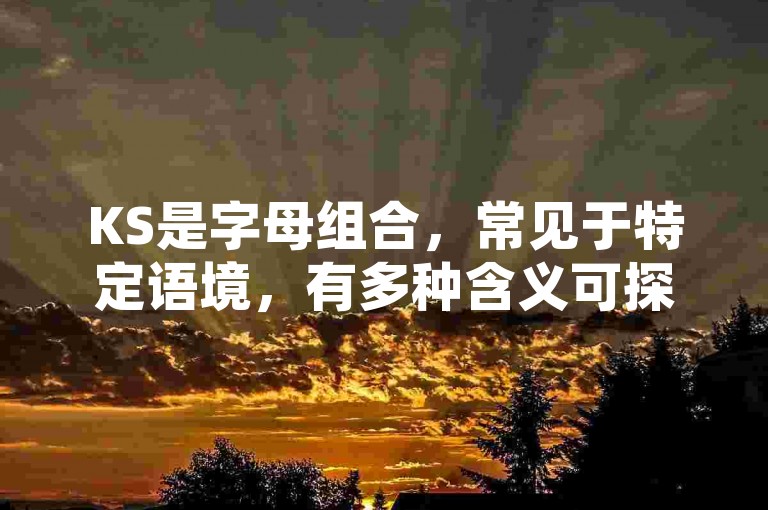 KS是字母组合，常见于特定语境，有多种含义可探究。