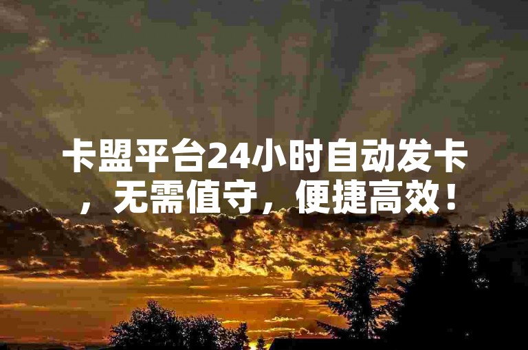 卡盟平台24小时自动发卡，无需值守，便捷高效！