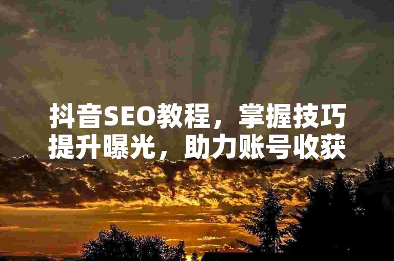 抖音SEO教程，掌握技巧提升曝光，助力账号收获更多流量。