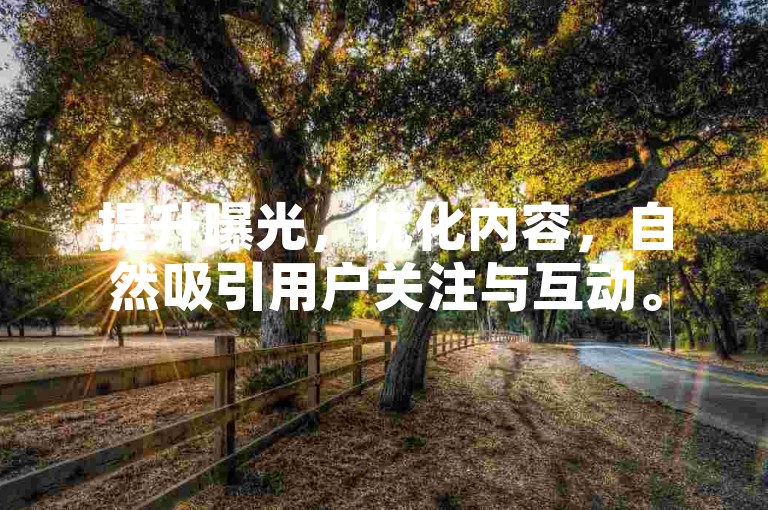 提升曝光，优化内容，自然吸引用户关注与互动。