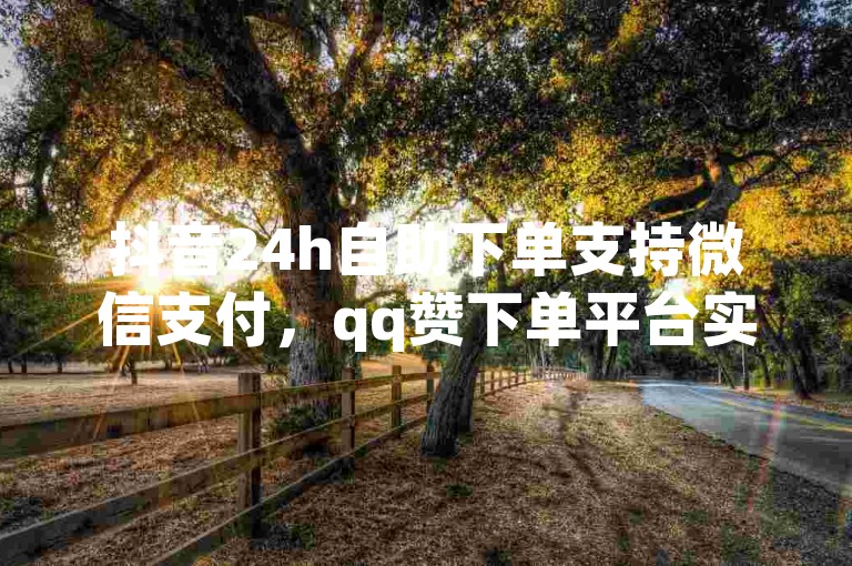 抖音24h自助下单支持微信支付，qq赞下单平台实惠之选