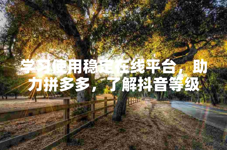 学习使用稳定在线平台，助力拼多多，了解抖音等级规则。