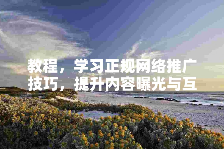 教程，学习正规网络推广技巧，提升内容曝光与互动。