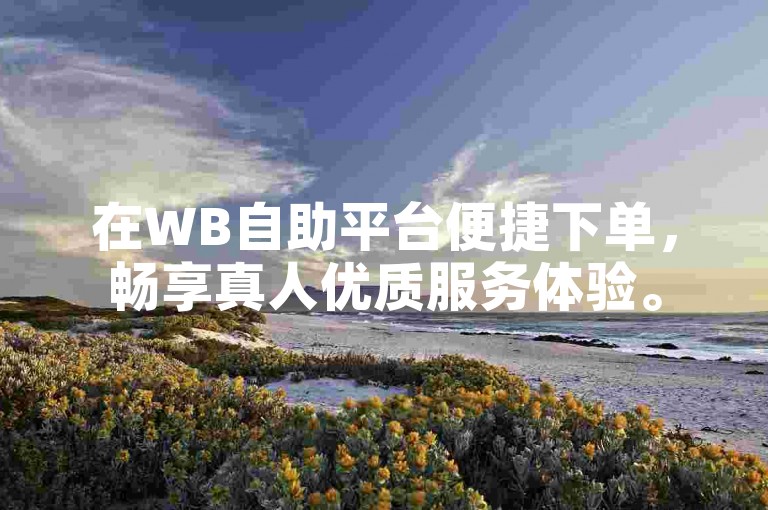 在WB自助平台便捷下单，畅享真人优质服务体验。