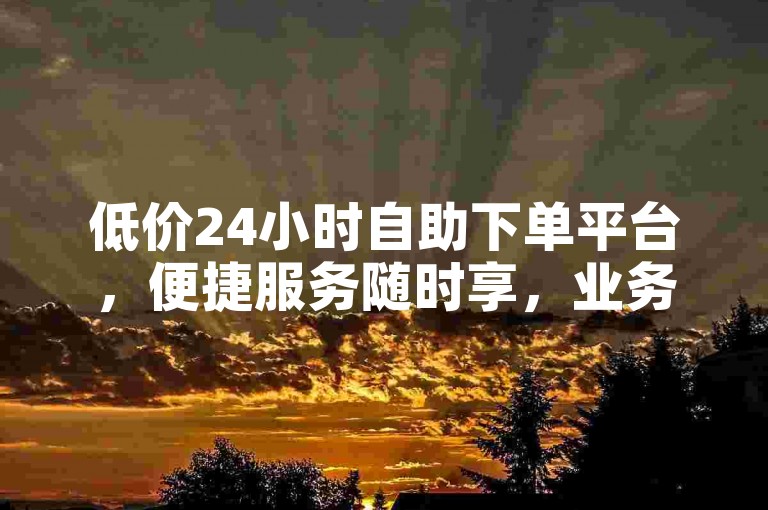 低价24小时自助下单平台，便捷服务随时享，业务轻松办。