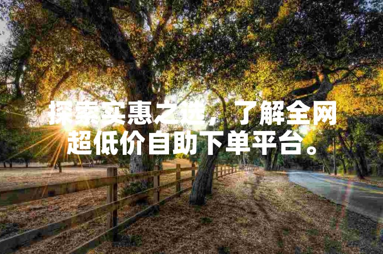 探索实惠之选，了解全网超低价自助下单平台。