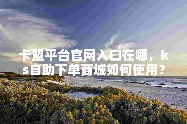 卡盟平台官网入口在哪，ks自助下单商城如何使用？