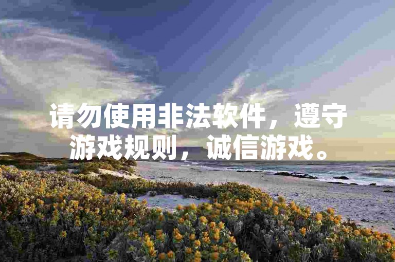 请勿使用非法软件，遵守游戏规则，诚信游戏。