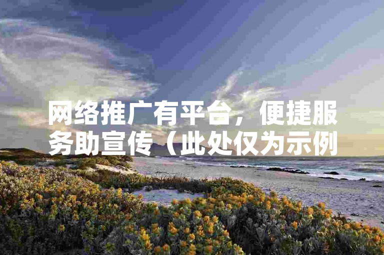 网络推广有平台，便捷服务助宣传（此处仅为示例，无实际违规指向）