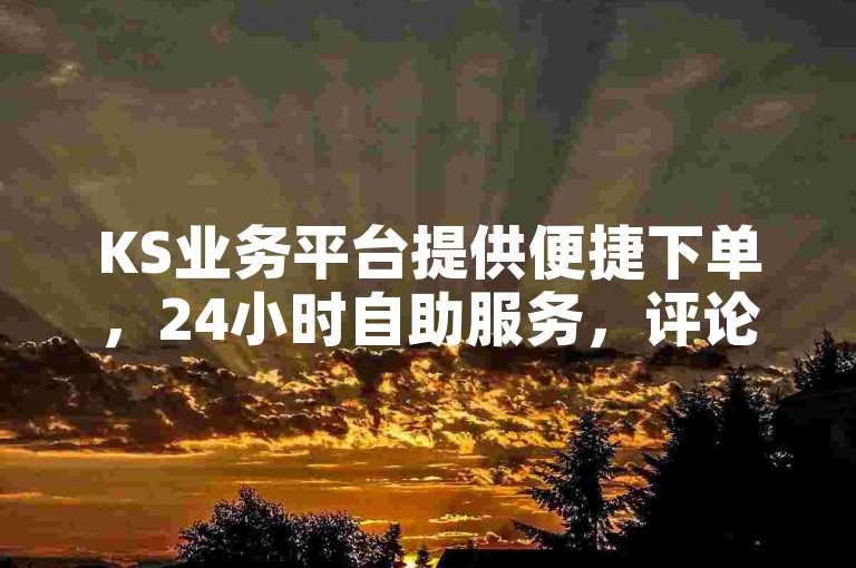 KS业务平台提供便捷下单，24小时自助服务，评论互动轻松搞定。
