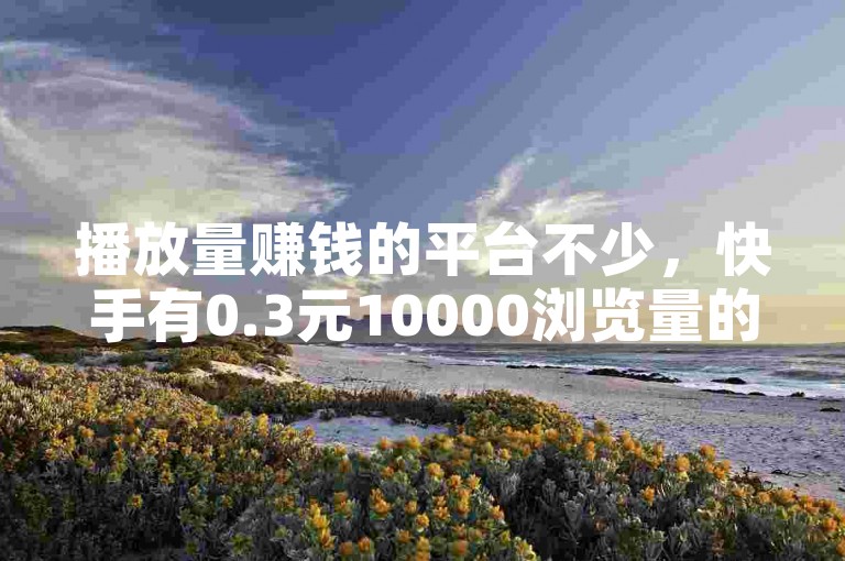 播放量赚钱的平台不少，快手有0.3元10000浏览量的赚钱方式。