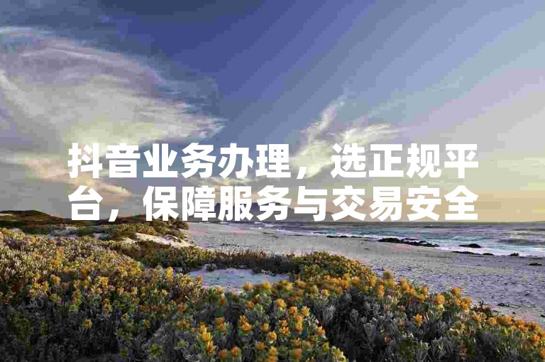 抖音业务办理，选正规平台，保障服务与交易安全。
