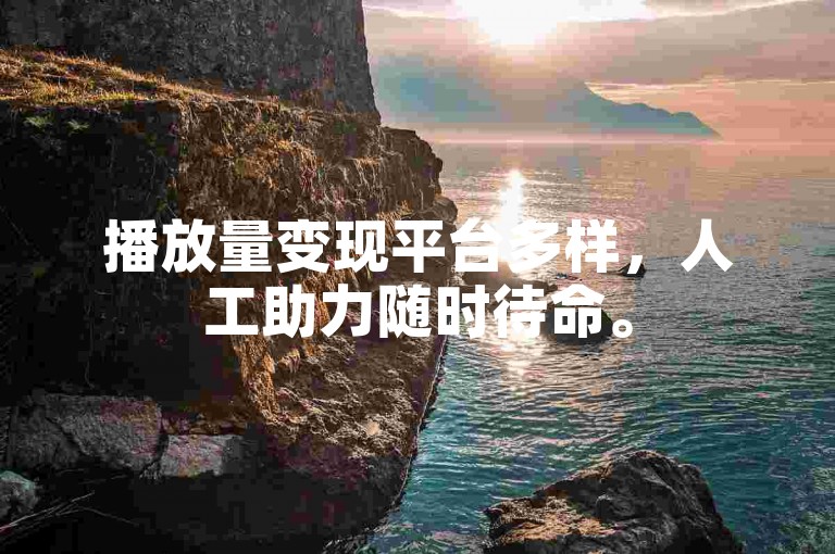 播放量变现平台多样，人工助力随时待命。