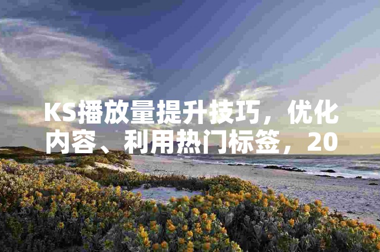 KS播放量提升技巧，优化内容、利用热门标签，2024轻松涨播放！
