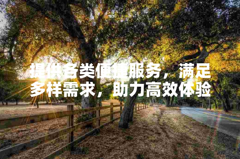 提供各类便捷服务，满足多样需求，助力高效体验。