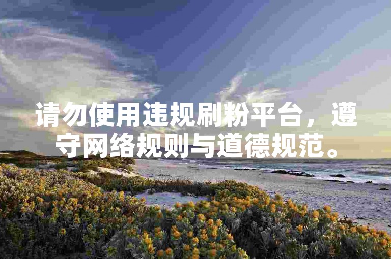 请勿使用违规刷粉平台，遵守网络规则与道德规范。