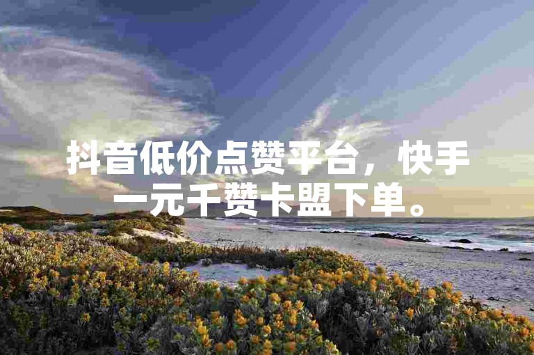 抖音低价点赞平台，快手一元千赞卡盟下单。