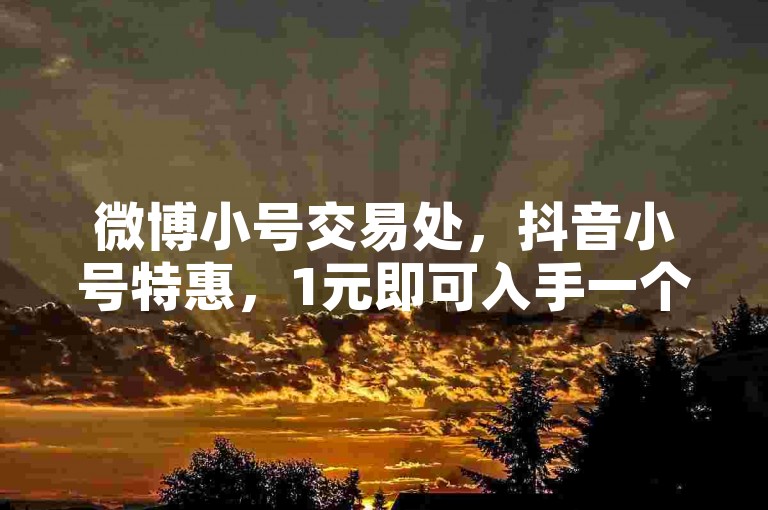 微博小号交易处，抖音小号特惠，1元即可入手一个。