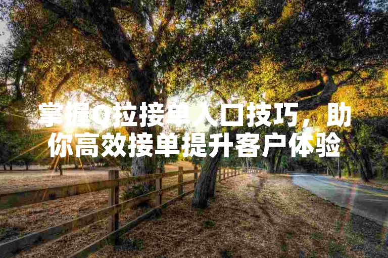掌握Q拉接单入口技巧，助你高效接单提升客户体验