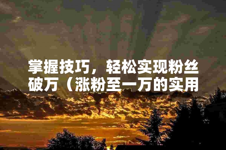 掌握技巧，轻松实现粉丝破万（涨粉至一万的实用途径）
