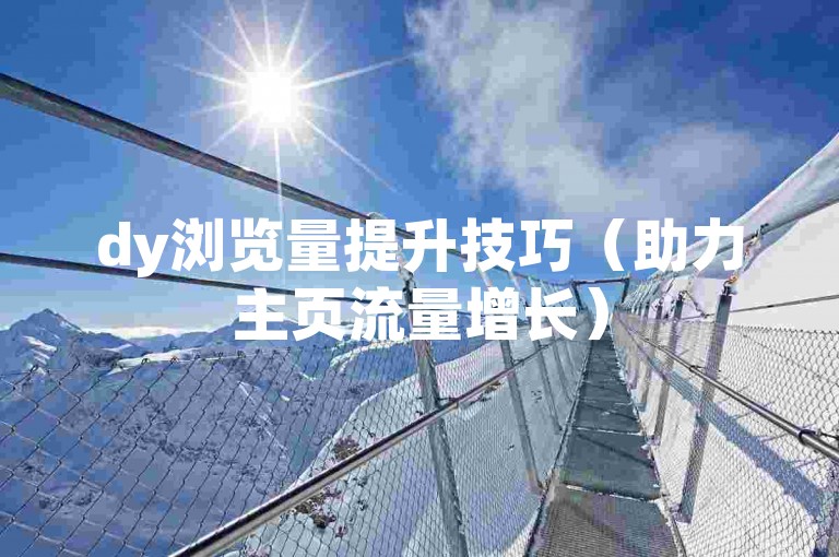 dy浏览量提升技巧（助力主页流量增长）