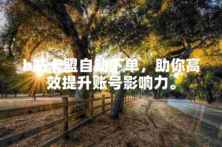 b站卡盟自助下单，助你高效提升账号影响力。