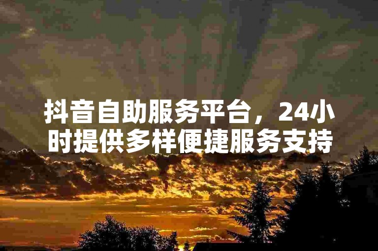 抖音自助服务平台，24小时提供多样便捷服务支持