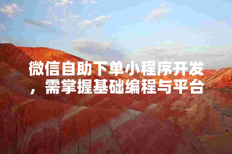 微信自助下单小程序开发，需掌握基础编程与平台规则。