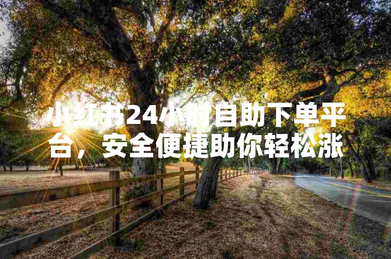 小红书24小时自助下单平台，安全便捷助你轻松涨人气。