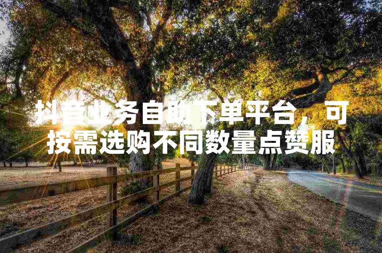 抖音业务自助下单平台，可按需选购不同数量点赞服务。