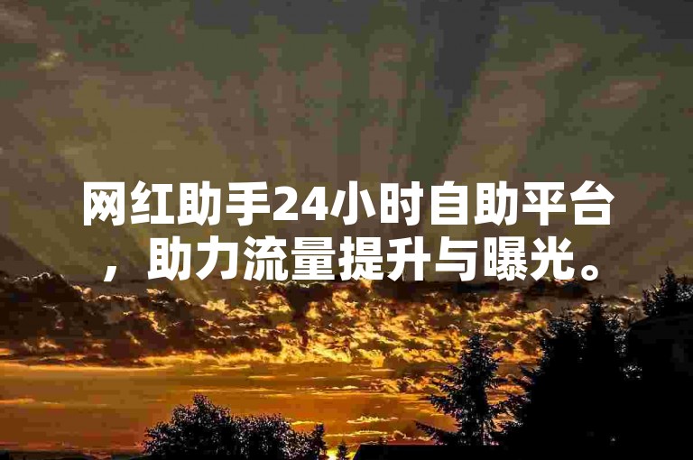 网红助手24小时自助平台，助力流量提升与曝光。