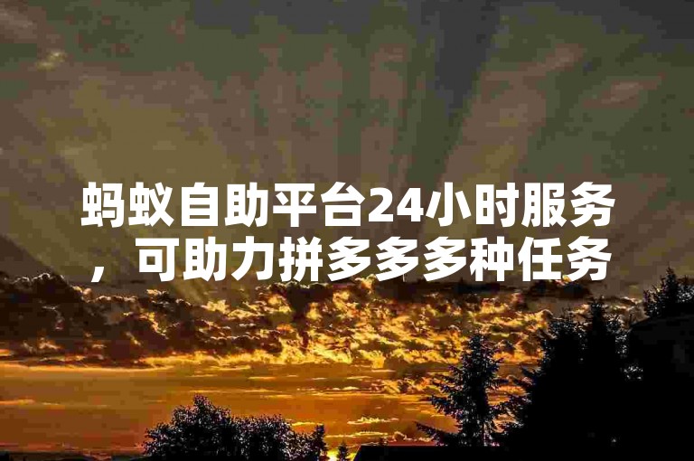 蚂蚁自助平台24小时服务，可助力拼多多多种任务操作。