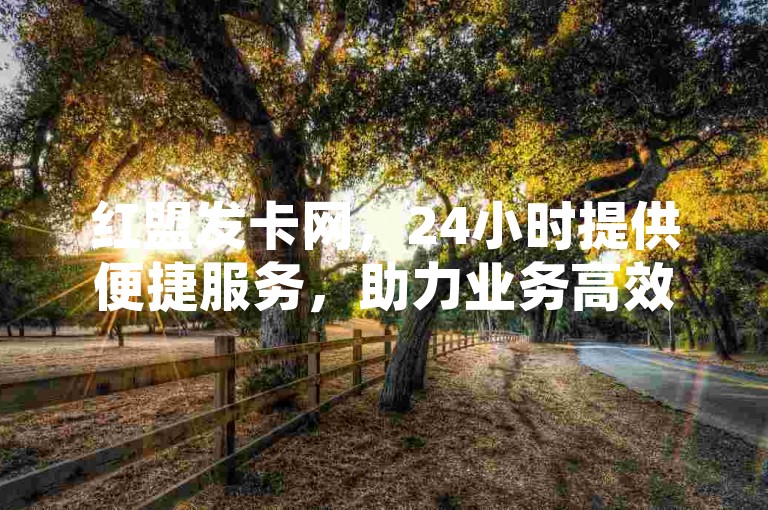 红盟发卡网，24小时提供便捷服务，助力业务高效开展。