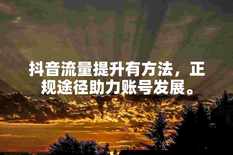 抖音流量提升有方法，正规途径助力账号发展。
