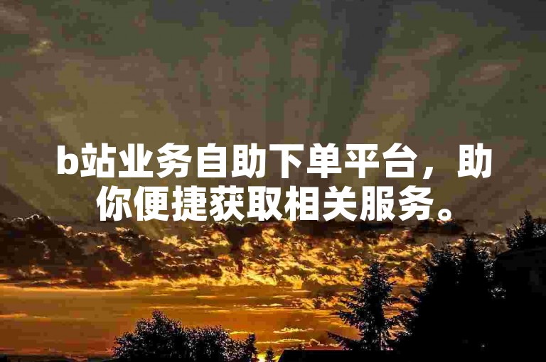 b站业务自助下单平台，助你便捷获取相关服务。
