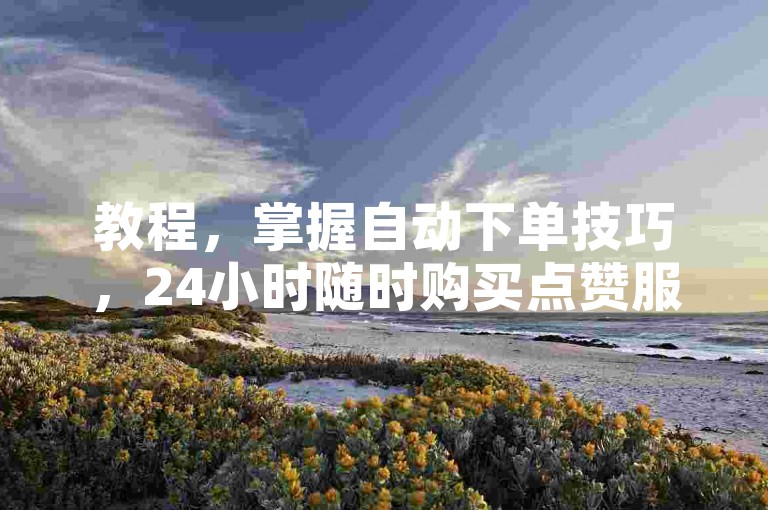 教程，掌握自动下单技巧，24小时随时购买点赞服务。