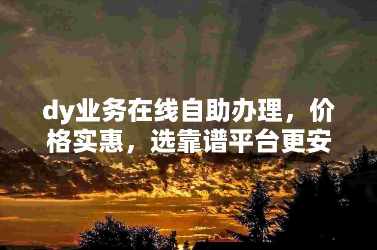 dy业务在线自助办理，价格实惠，选靠谱平台更安心。