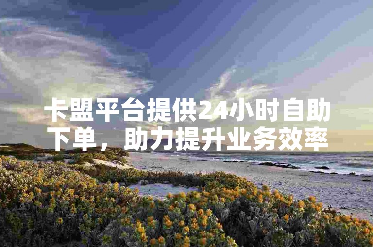 卡盟平台提供24小时自助下单，助力提升业务效率。