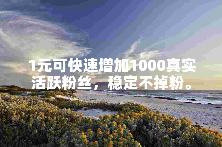 1元可快速增加1000真实活跃粉丝，稳定不掉粉。