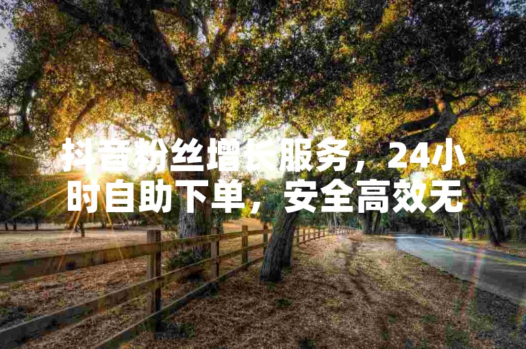 抖音粉丝增长服务，24小时自助下单，安全高效无风险。