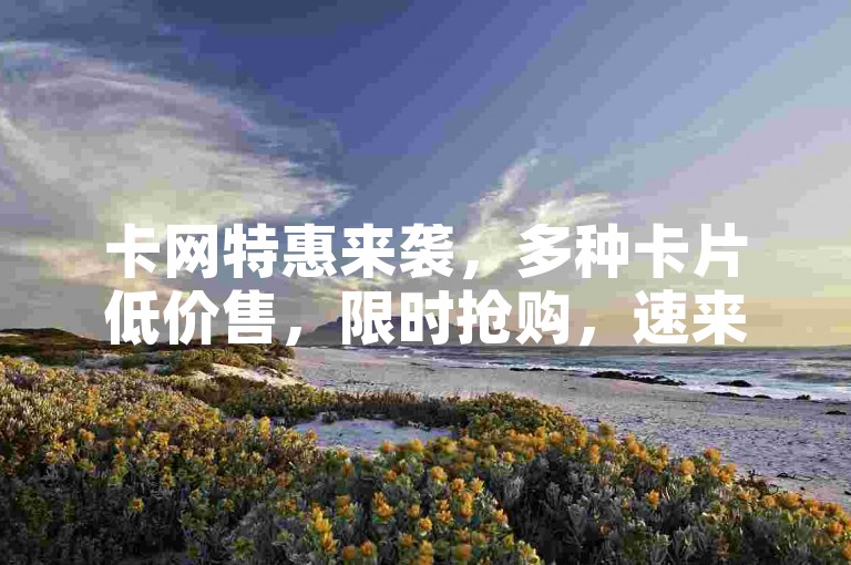 卡网特惠来袭，多种卡片低价售，限时抢购，速来享超值优惠！