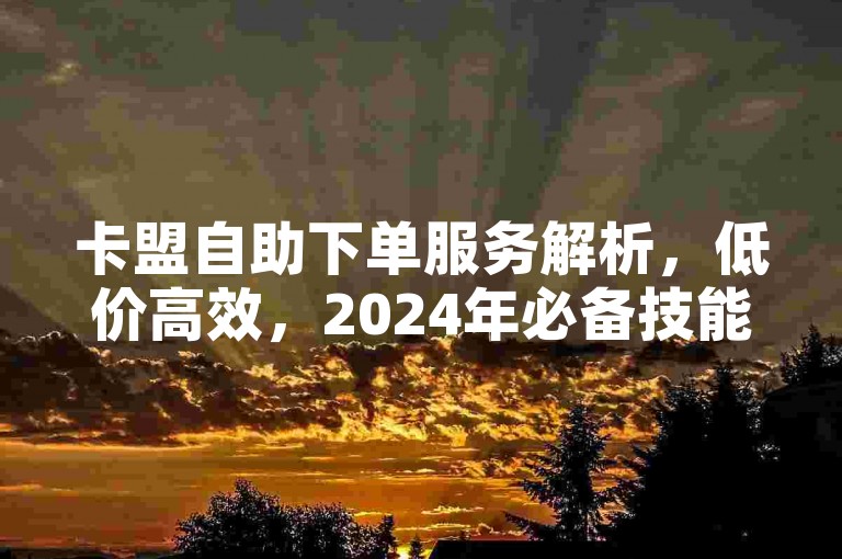 卡盟自助下单服务解析，低价高效，2024年必备技能揭秘！