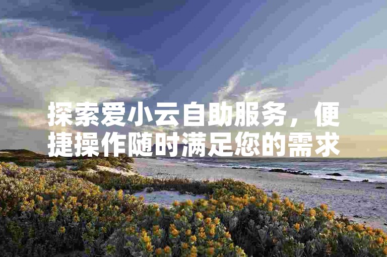 探索爱小云自助服务，便捷操作随时满足您的需求。