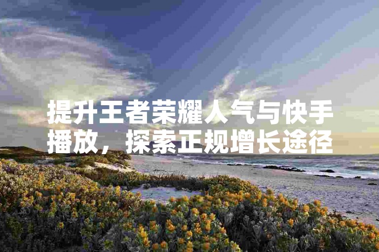 提升王者荣耀人气与快手播放，探索正规增长途径。