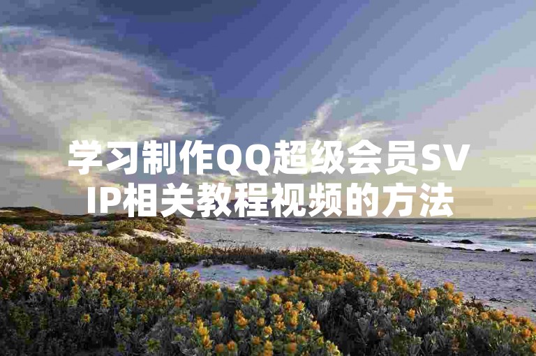 学习制作QQ超级会员SVIP相关教程视频的方法