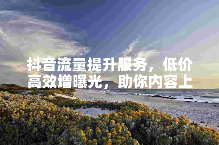 抖音流量提升服务，低价高效增曝光，助你内容上热门！