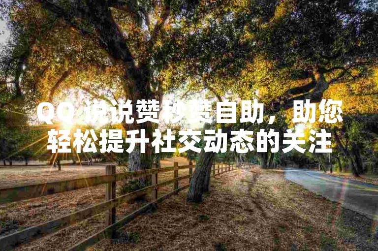 QQ 说说赞秒赞自助，助您轻松提升社交动态的关注度。