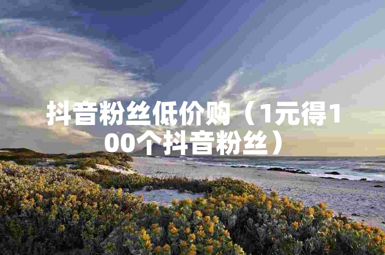 抖音粉丝低价购（1元得100个抖音粉丝）